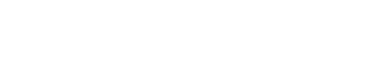 SENDIX
